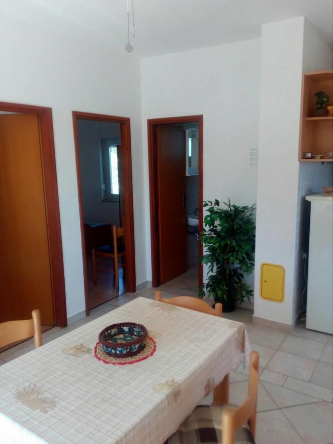 Apartments Irena Božava Zewnętrze zdjęcie
